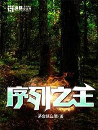 序列之王封面
