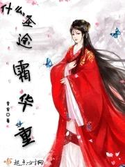 什么圣途霜华重封面