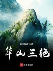 华山三绝封面