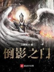 倒影之门封面