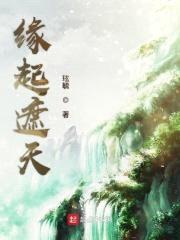 缘起遮天封面
