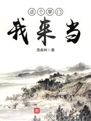这个掌门我来当封面