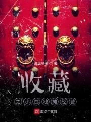 收藏之小白地摊经营封面