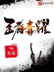 王者毒耀封面