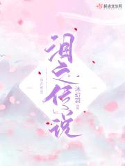 泪之传说封面