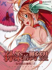 孙策的野望封面