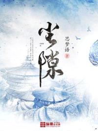 尘隙封面