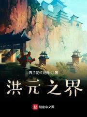 洪元之界封面