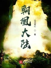 朝凰大陆封面