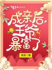 成亲后王爷暴富了封面