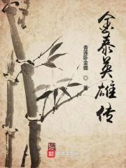金泰英雄传封面
