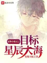 精灵宝可梦之目标星辰大海封面