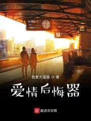 爱情后悔器封面