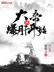大帝从爆肝开始封面