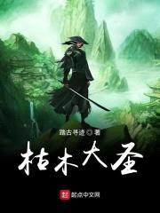 枯木大圣封面