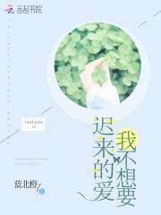 迟来的爱我不想要封面