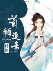 首辅追妻计划封面
