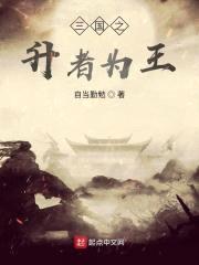 三国之升者为王封面