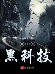 魔王的黑科技封面