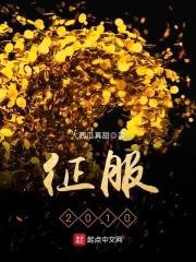 征服2010封面