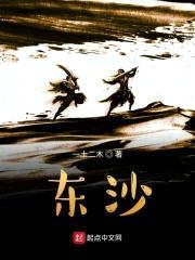 东沙封面