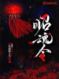 昭魂令封面