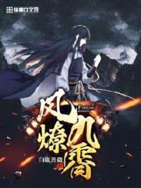 风燎九霄封面