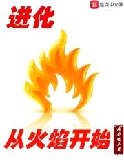 进化从火焰开始封面