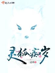 灵狐痴岁封面