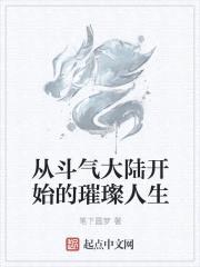 从斗气大陆开始的璀璨人生封面