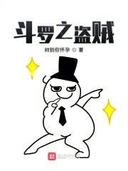 斗罗之盗贼封面