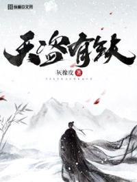 天盗有缺封面