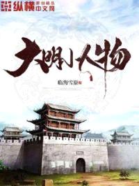 大明小人物封面