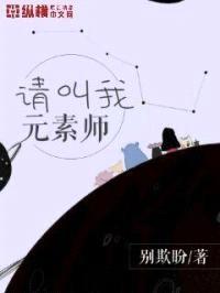 请叫我元素师封面