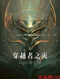 穿越者之灾封面