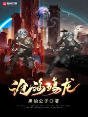 沧海殇龙封面