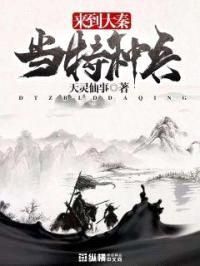 当特种兵来到大秦封面
