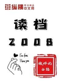 读档2008封面