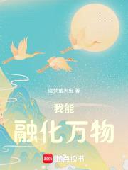 我能融化万物封面