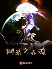 网游之赤魂封面