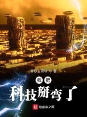 我把科技掰弯了封面