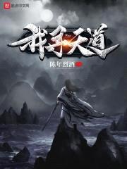 我寻天道封面