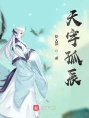 天宇孤辰封面