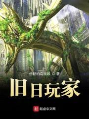 旧日玩家封面