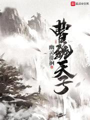 曹魏天子封面