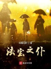 法宝之仆封面