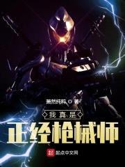 我真是正经枪械师封面