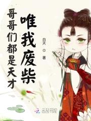 哥哥们都是天才唯我废柴封面