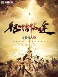 征踏仙途封面