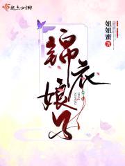 锦衣娘子封面
